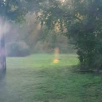 Read more about the article Heavenly Sunlight